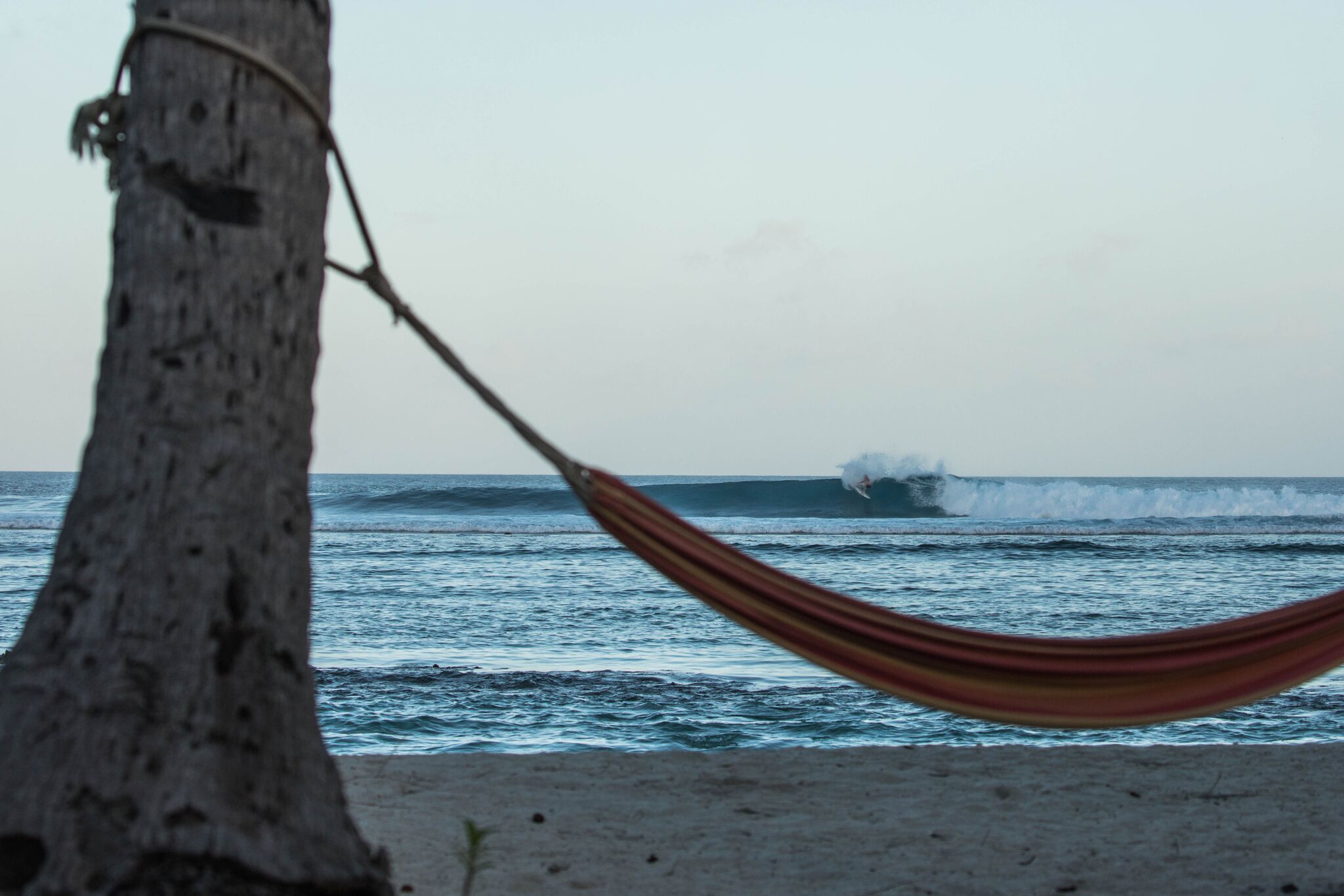 Hammock slasher at cokes. Photo - Andy Potts C/O The Perfect Wave