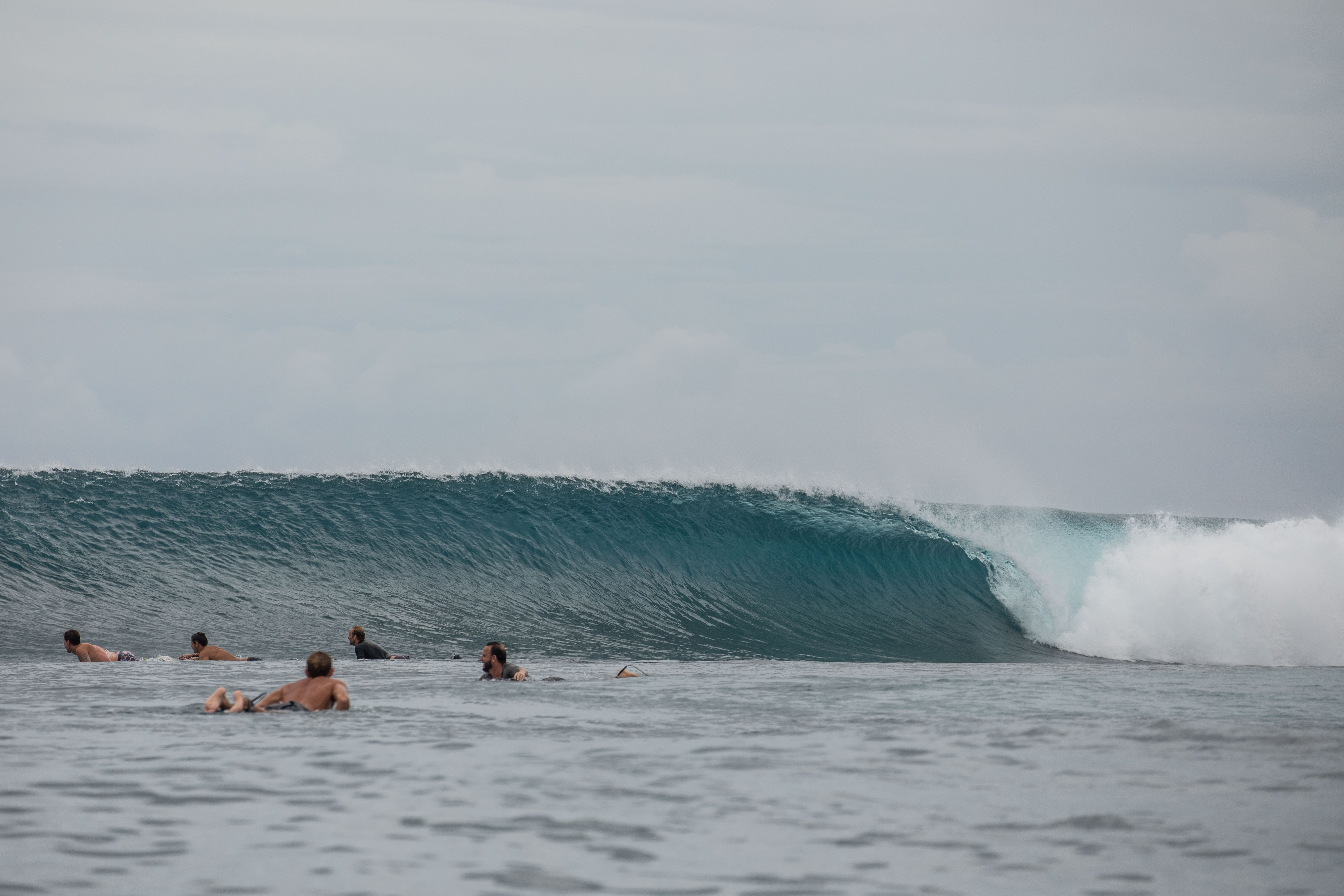 oasis mentawai surf