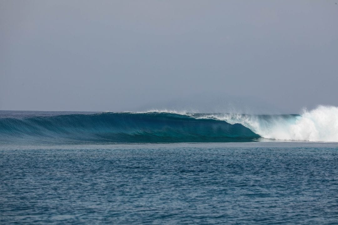 surfing maldives
