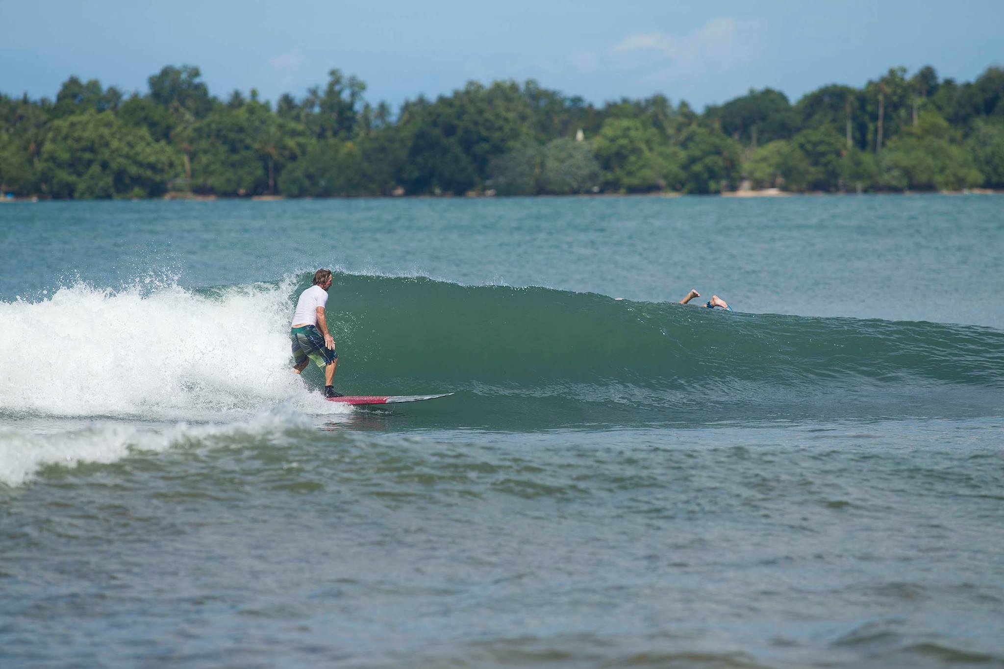 surfing png explorer the perfect wave