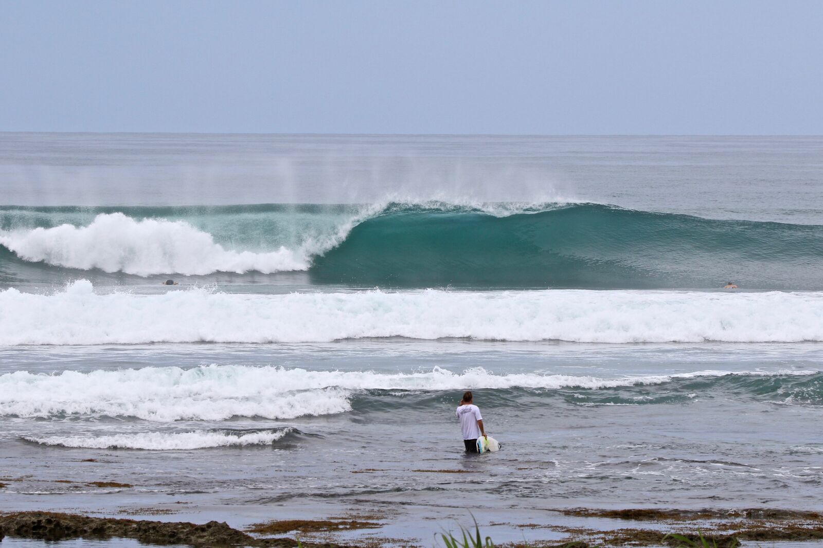 Mahi Mahi Simeulue Sumatra Surf Camp