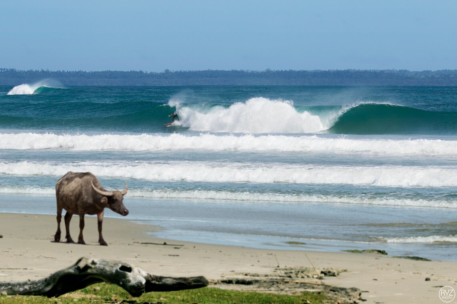 Mahi Mahi Simeulue Sumatra Surf Camp