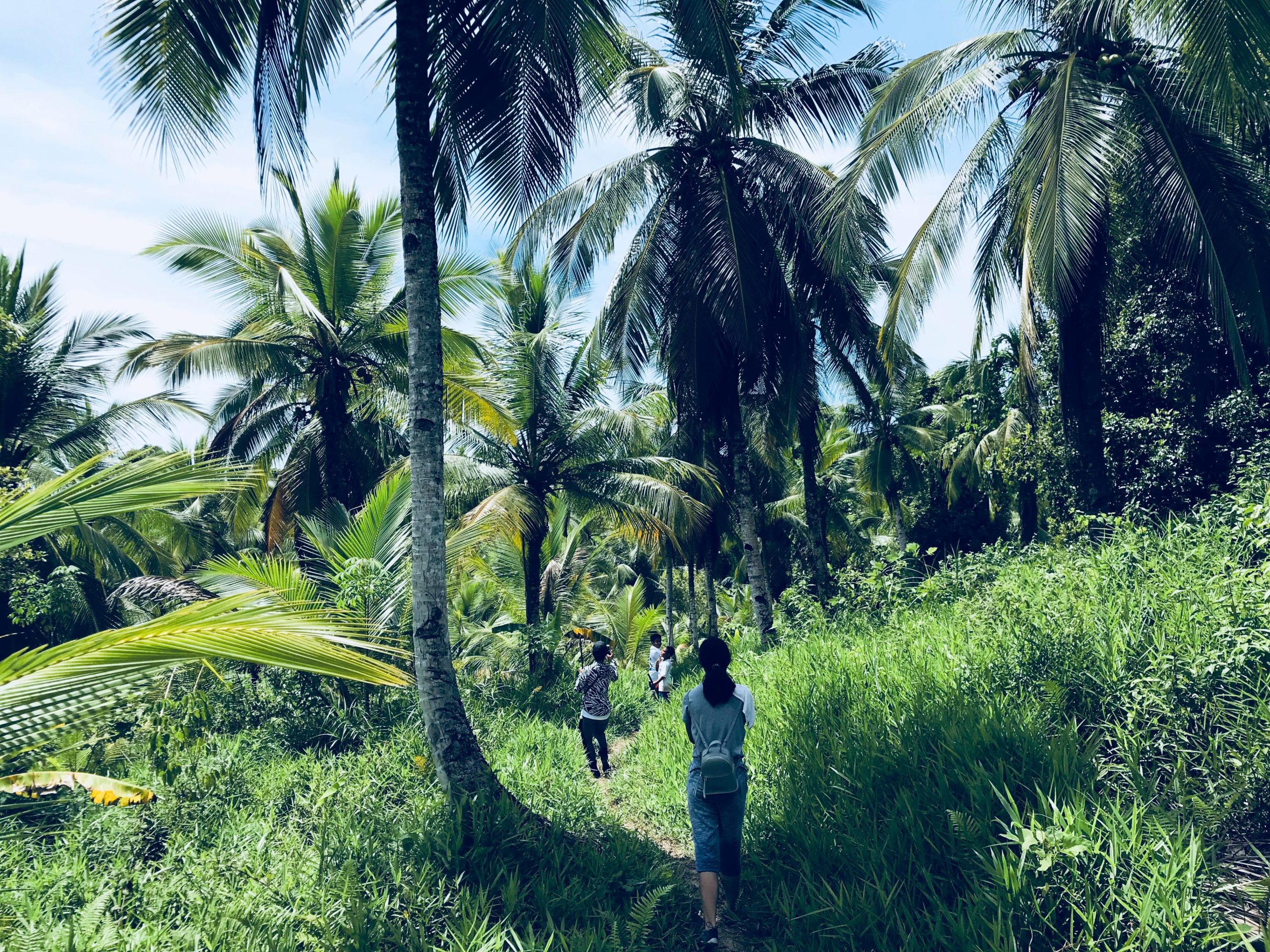 Aloita Resort Mentawai