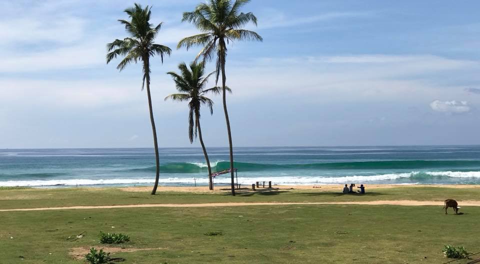 surfing in Sri Lanka Hikkaduwa Coconut point