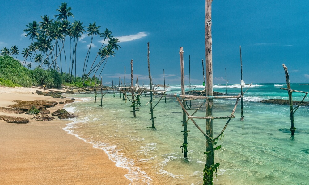 Sri Lanka Surf Travel Guide | Perfect Wave Travel