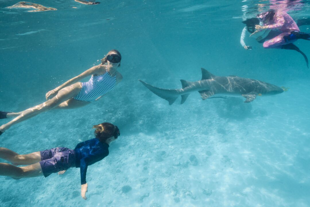 Kandooma Surf Resort Maldives