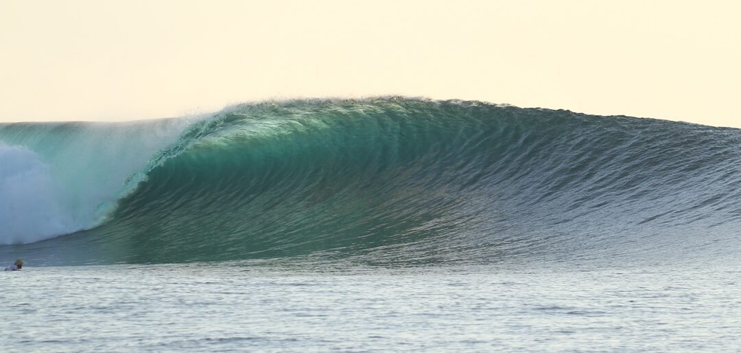 Asu surf camp indonesia