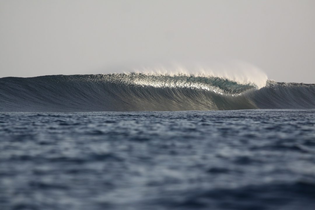 Bawa - Asu Surf Camp