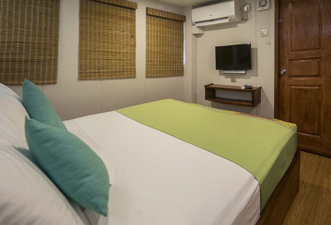 Carpe Diem Maldives surf charter