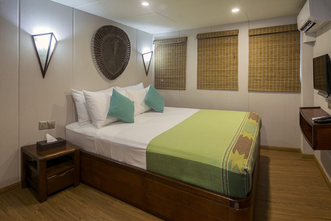 Carpe Diem Maldives surf charter