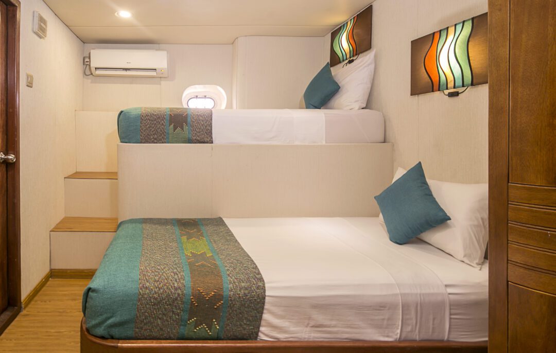 Carpe Diem Maldives surf charter