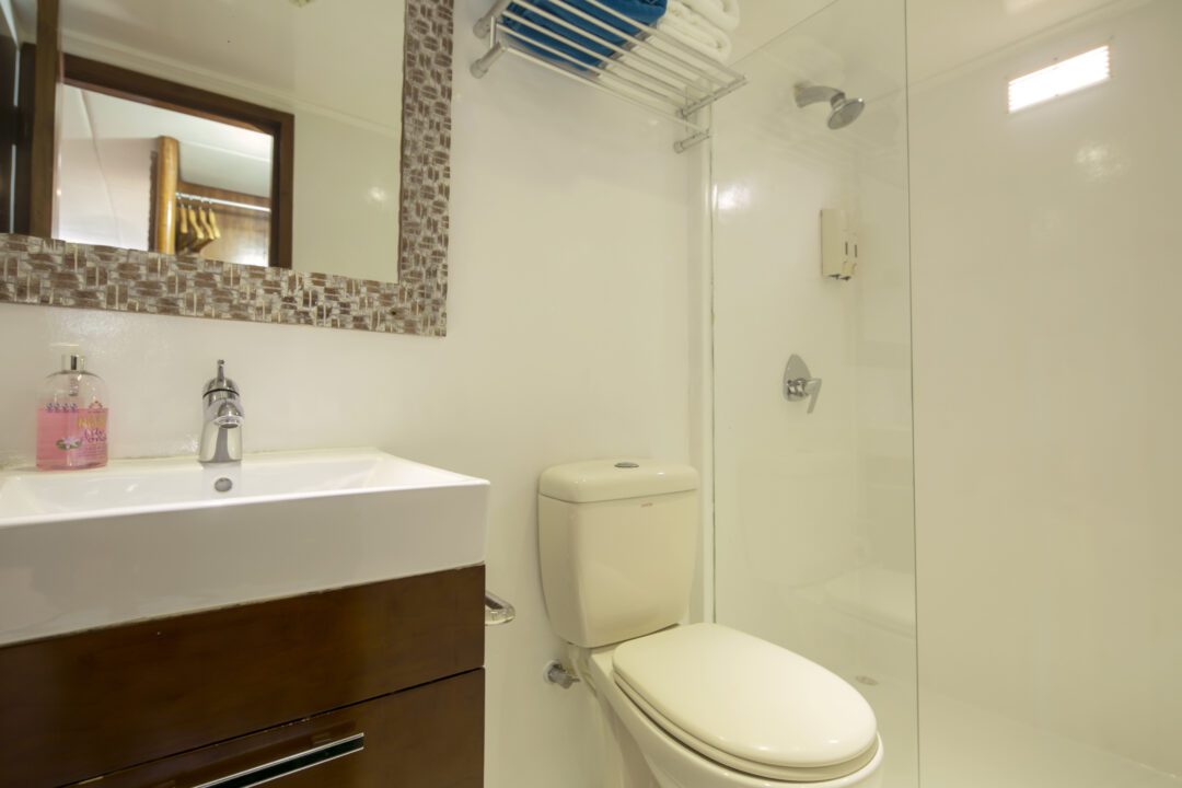 Carpe Diem Maldives surf charter