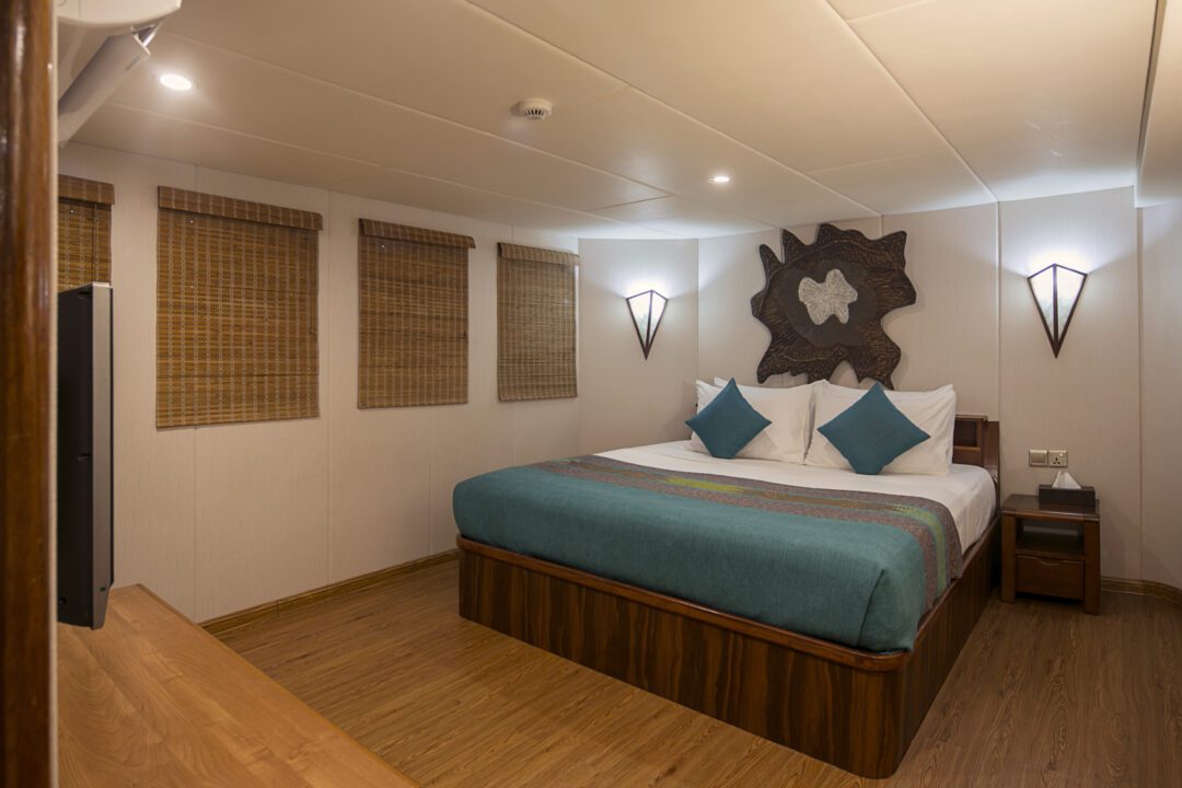 Carpe Diem Maldives surf charter