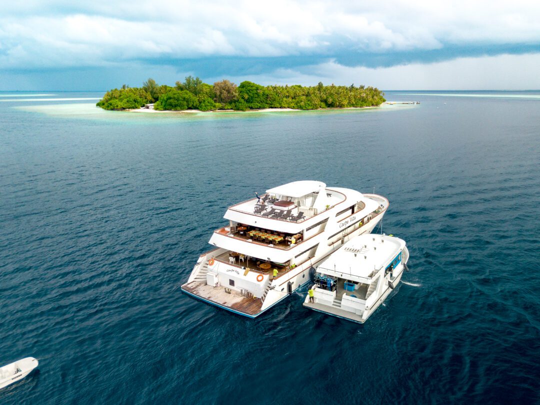 Carpe Vita Maldives surf charter