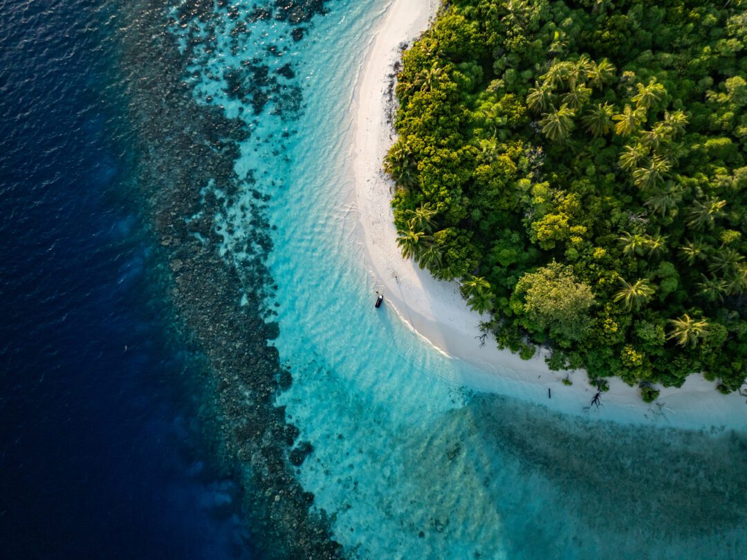 Carpe Diem Maldives surf charter