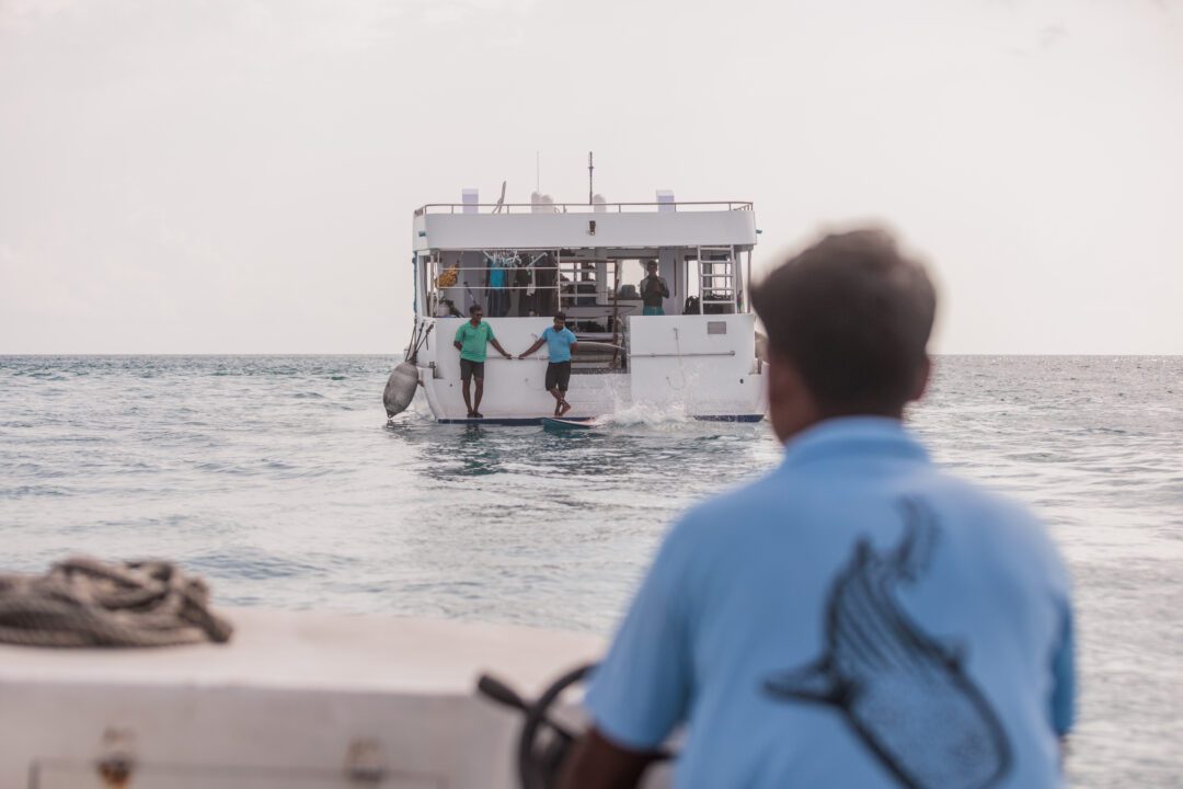 Carpe Vita Maldives surf charter