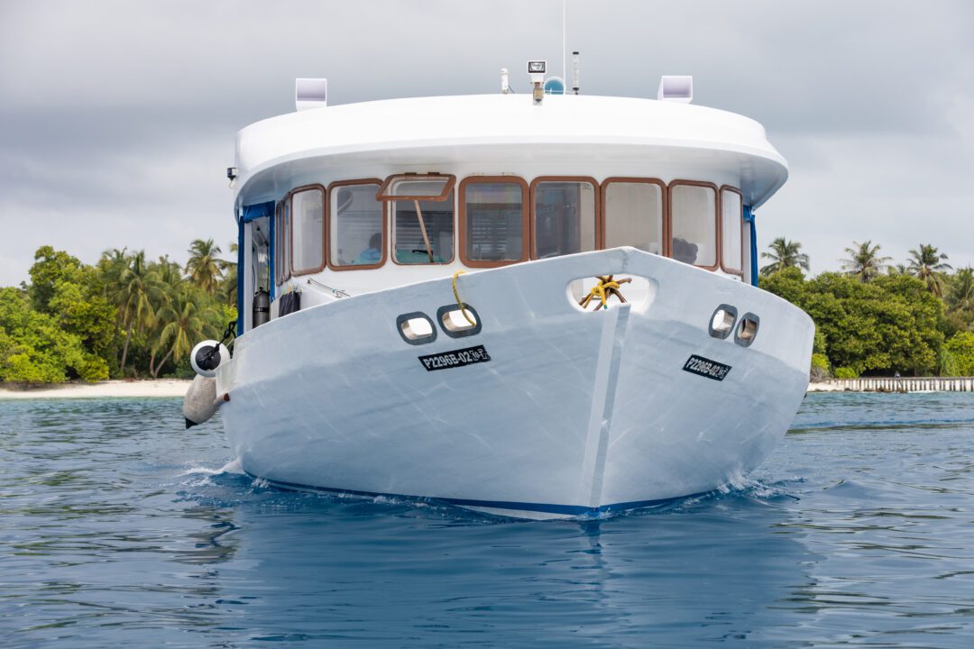 Carpe Vita Maldives surf charter