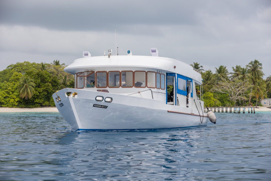 Carpe Vita Maldives surf charter