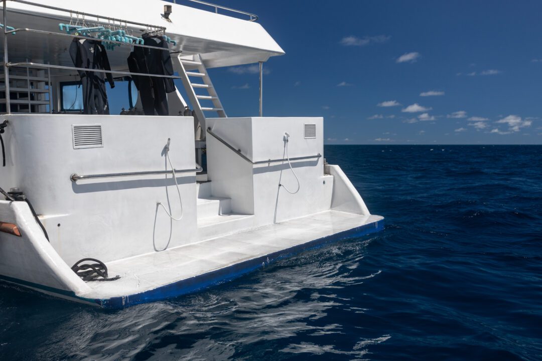 Carpe Vita Maldives surf charter