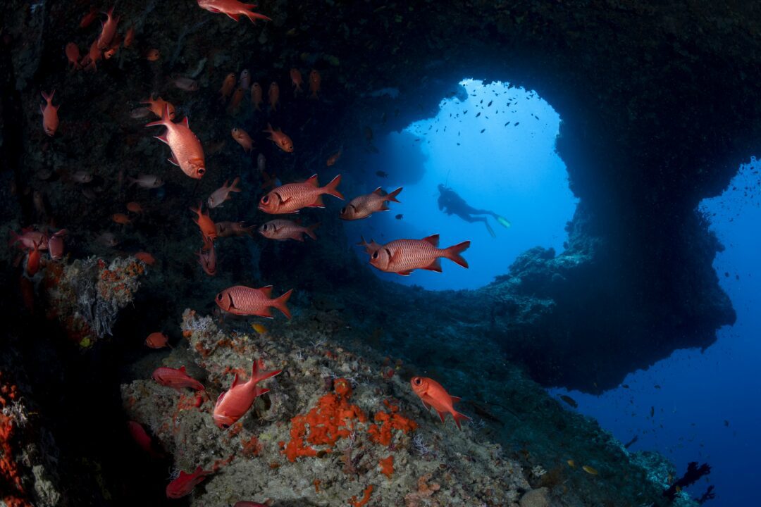 Scuba diving at Kandooma Resort Maldives