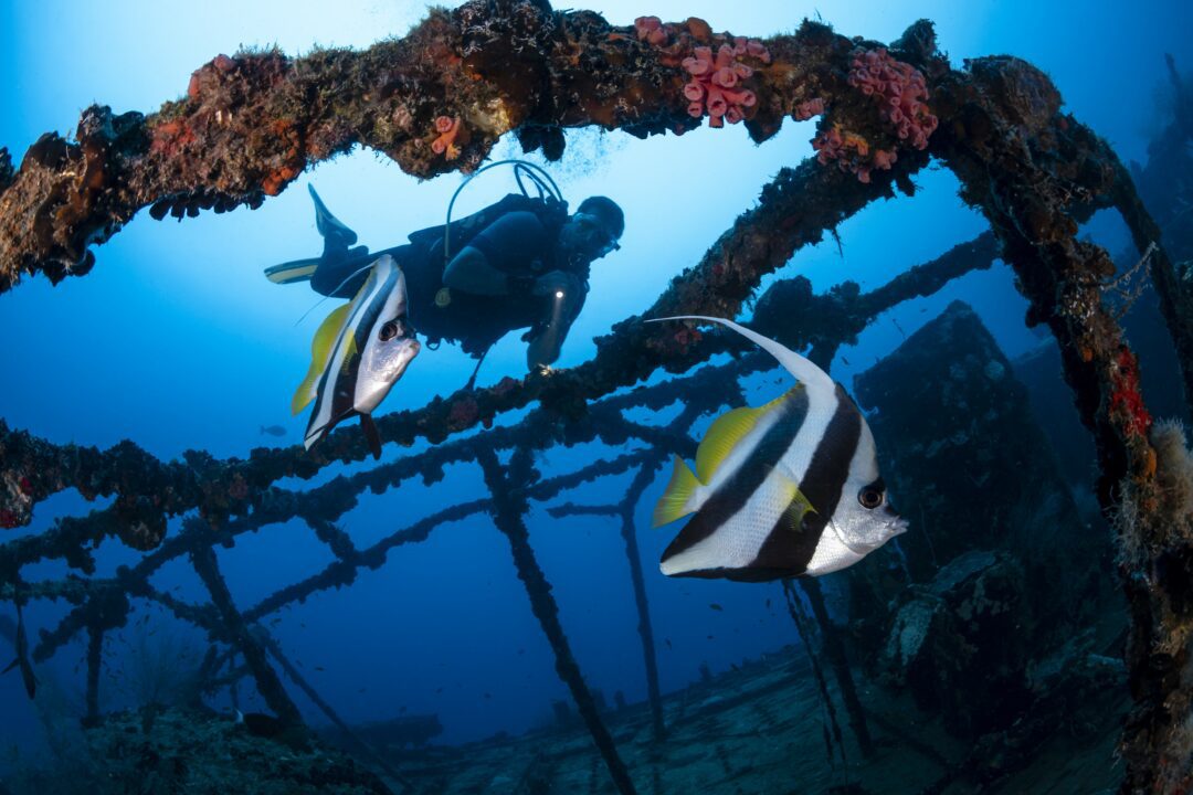 Scuba diving at Kandooma Resort Maldives