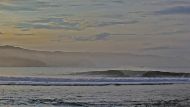 Jenny's Right Mandiri Krui Sumatra