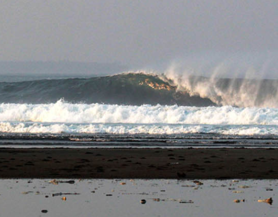 Laae Beach Mandiri Krui