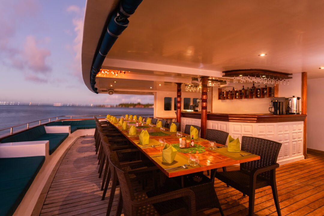 Carpe Vita Maldives surf charter