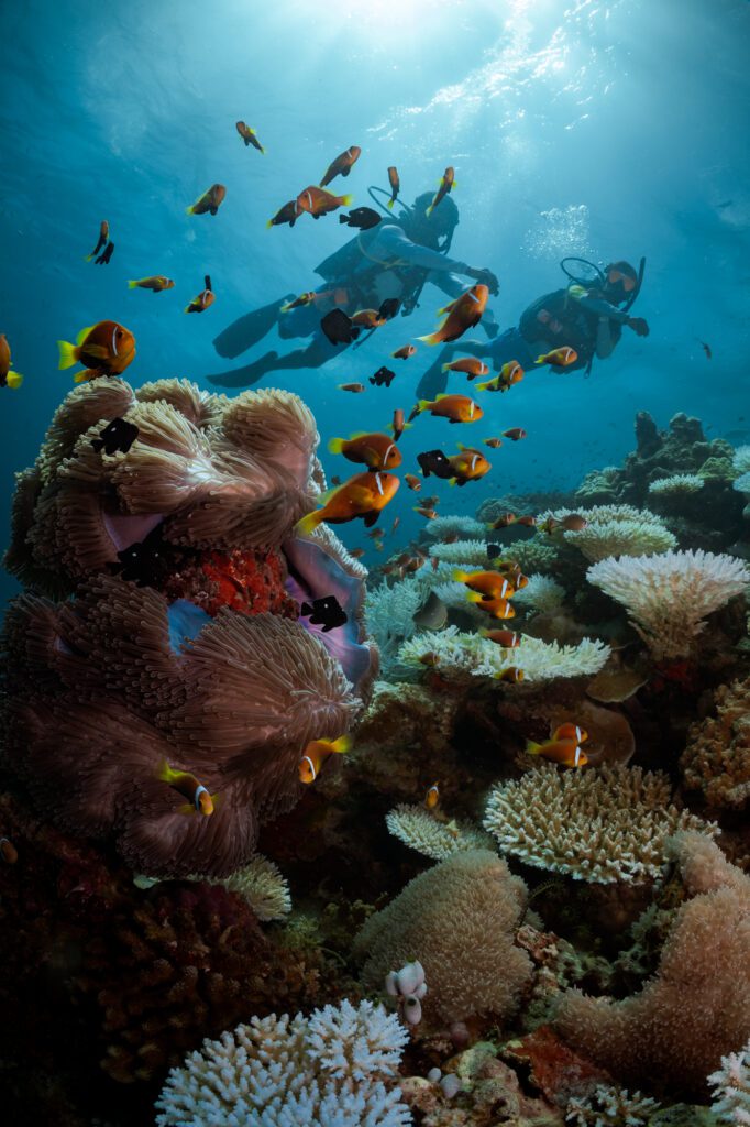 Six Senses Laamu Maldives surf resort Central Atolls