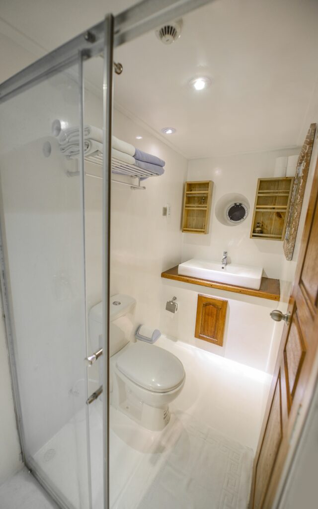 Carpe Diem Maldives surf charter