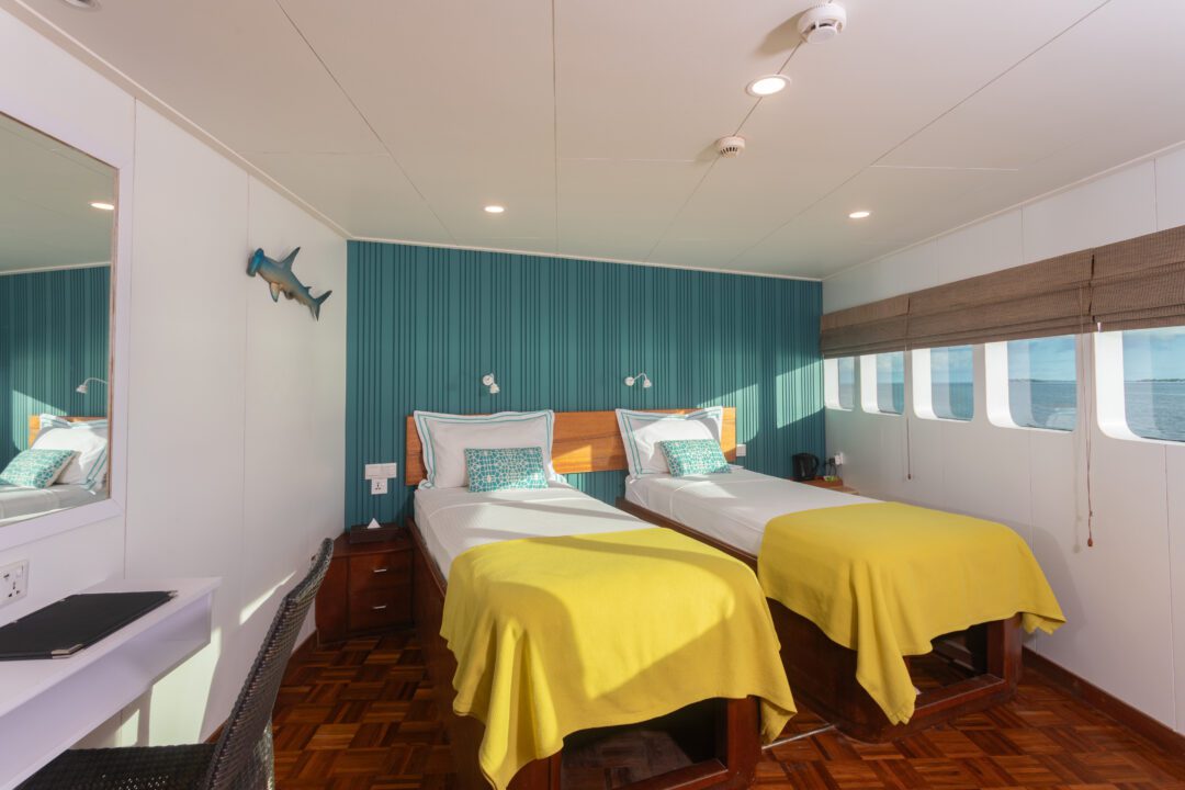 Carpe Vita Maldives surf charter