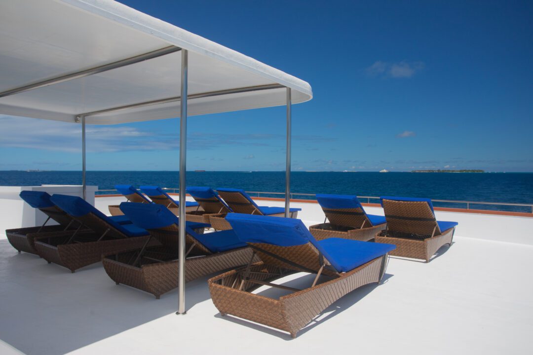 Carpe Vita Maldives surf charter