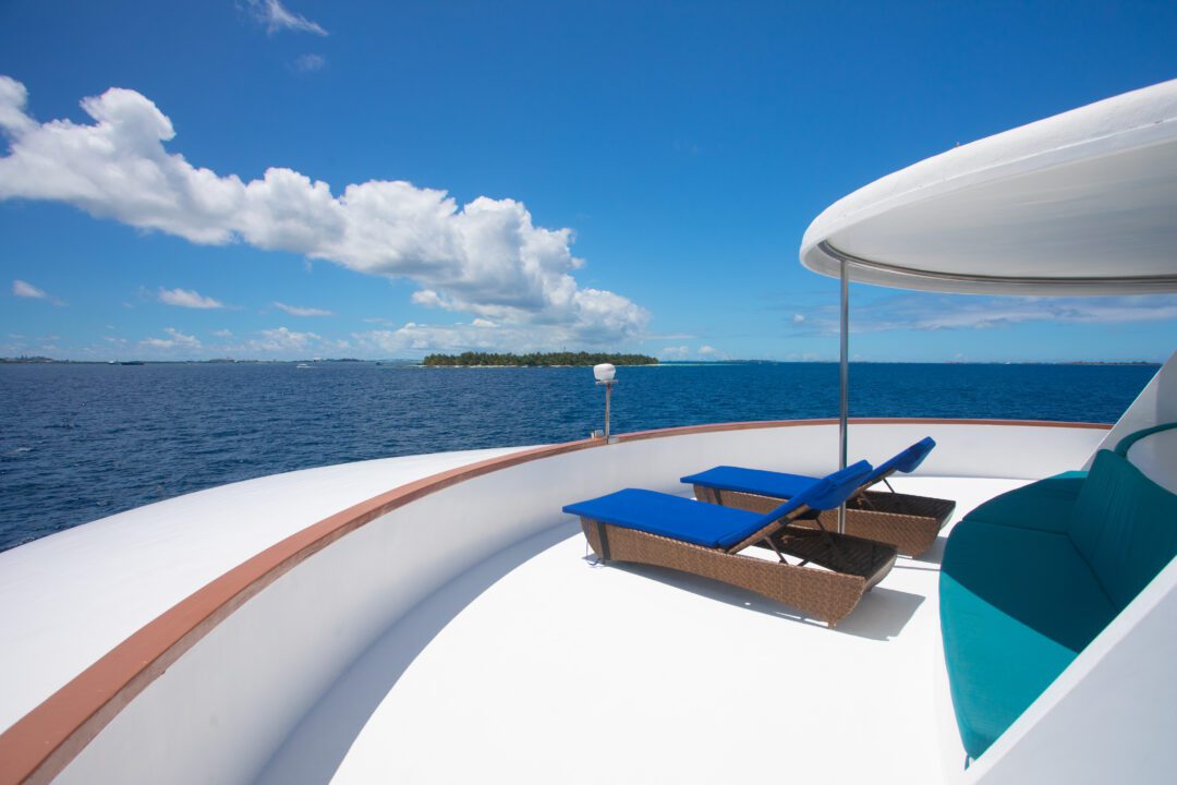 Carpe Vita Maldives surf charter