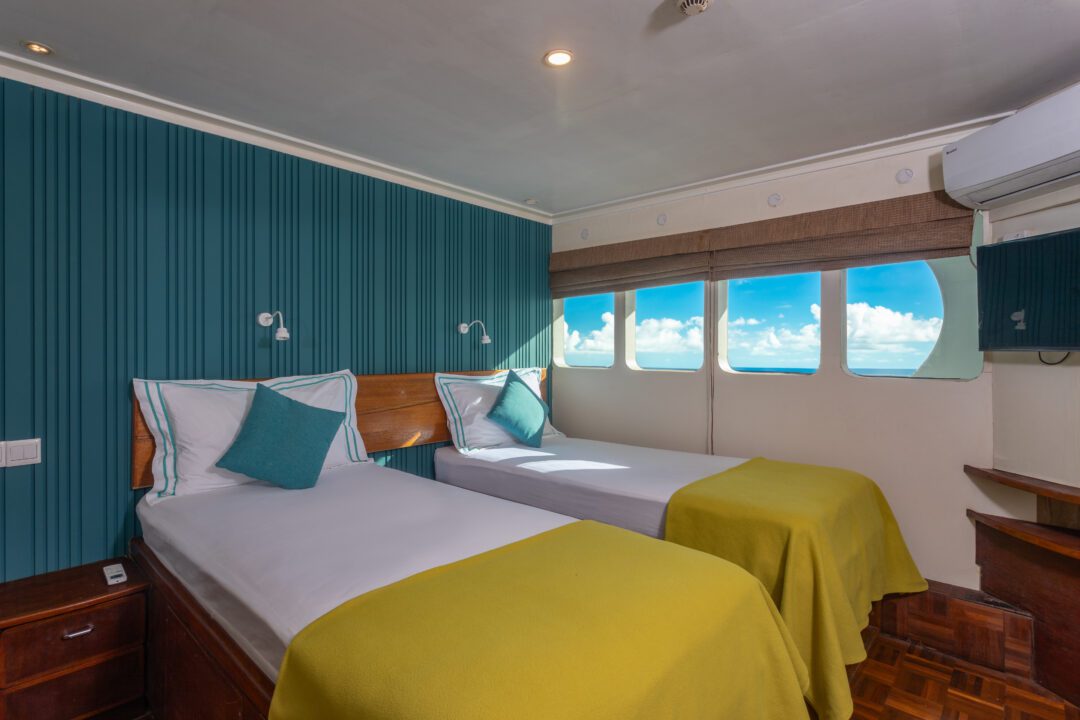 Carpe Vita Maldives surf charter