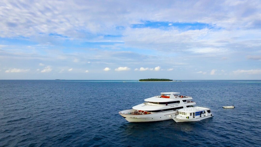 Carpe Vita Maldives surf charter