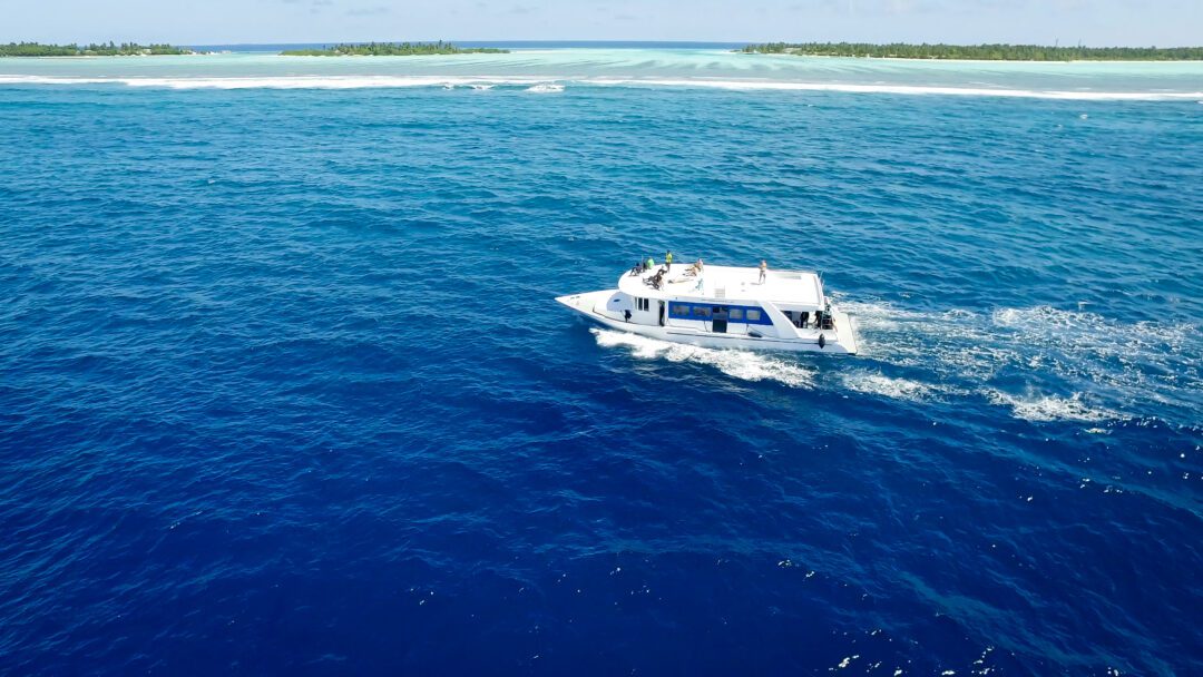 Carpe Vita Maldives surf charter