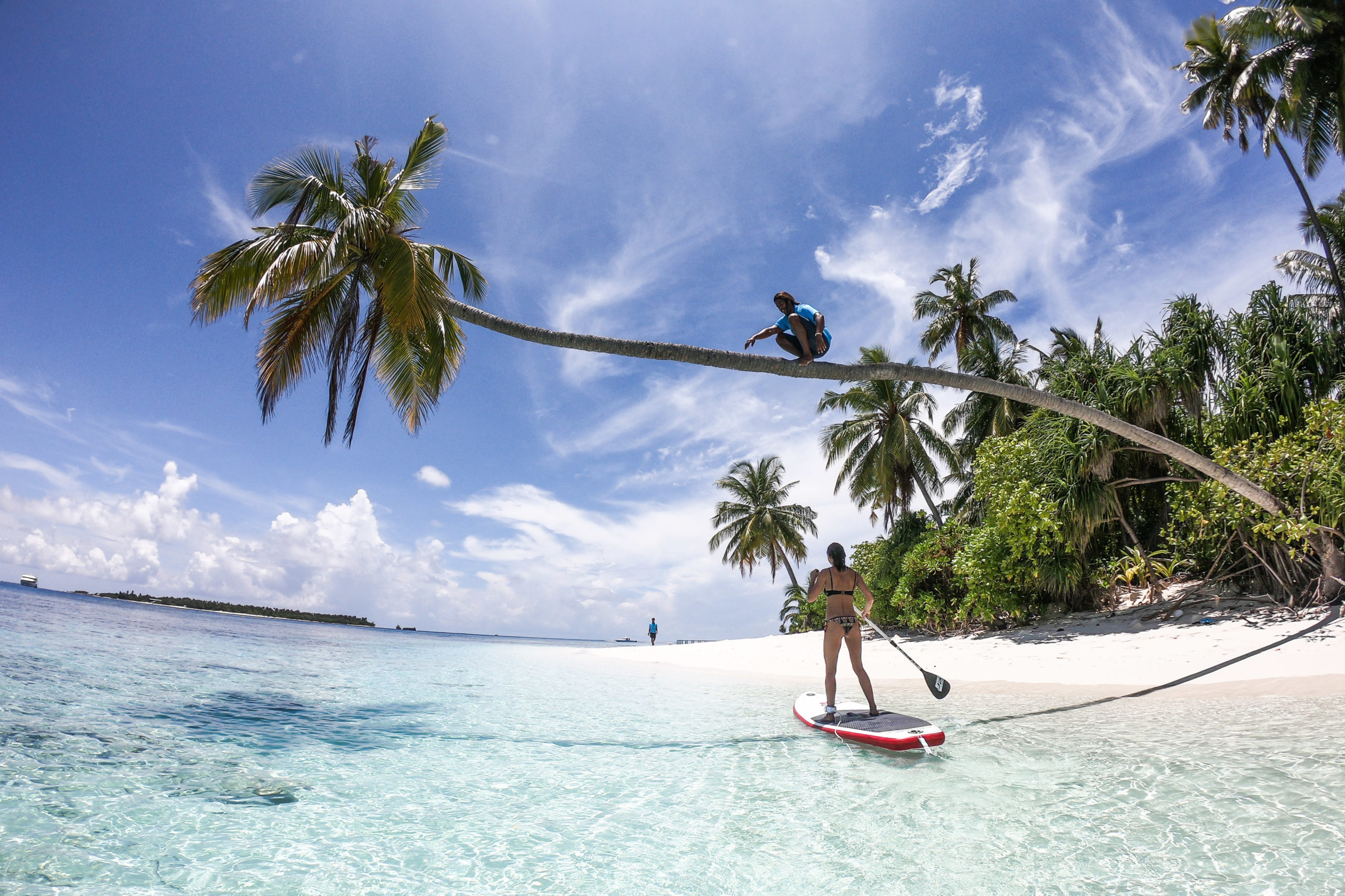 maldives surf trip
