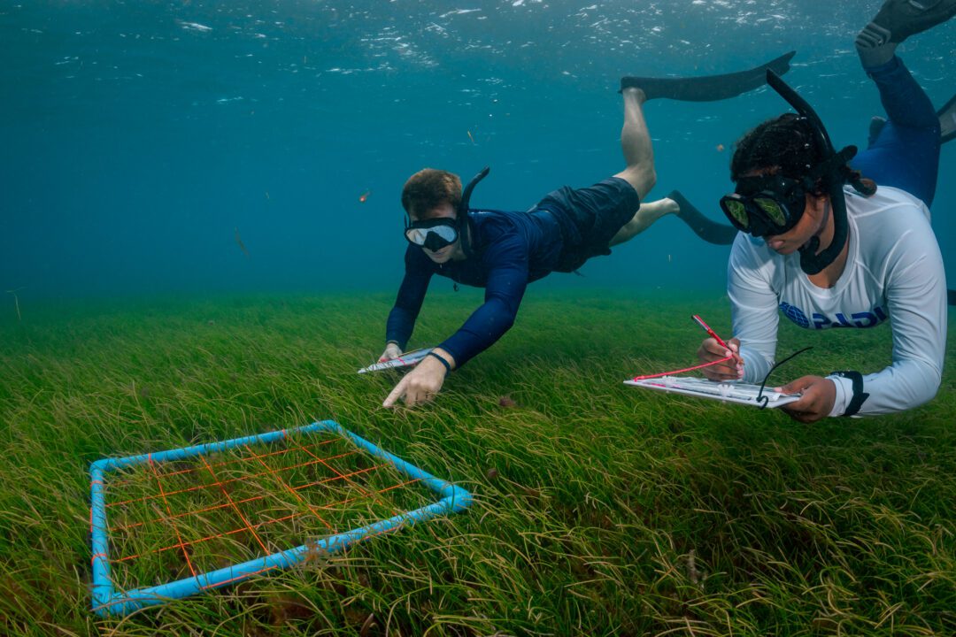 Six Senses Laamu Maldives surf resort Central Atolls