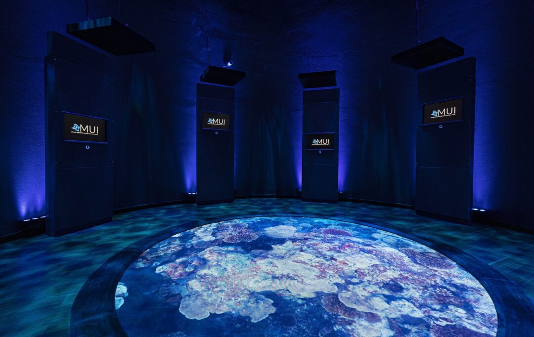 Six Senses Laamu Maldives surf resort Central Atolls