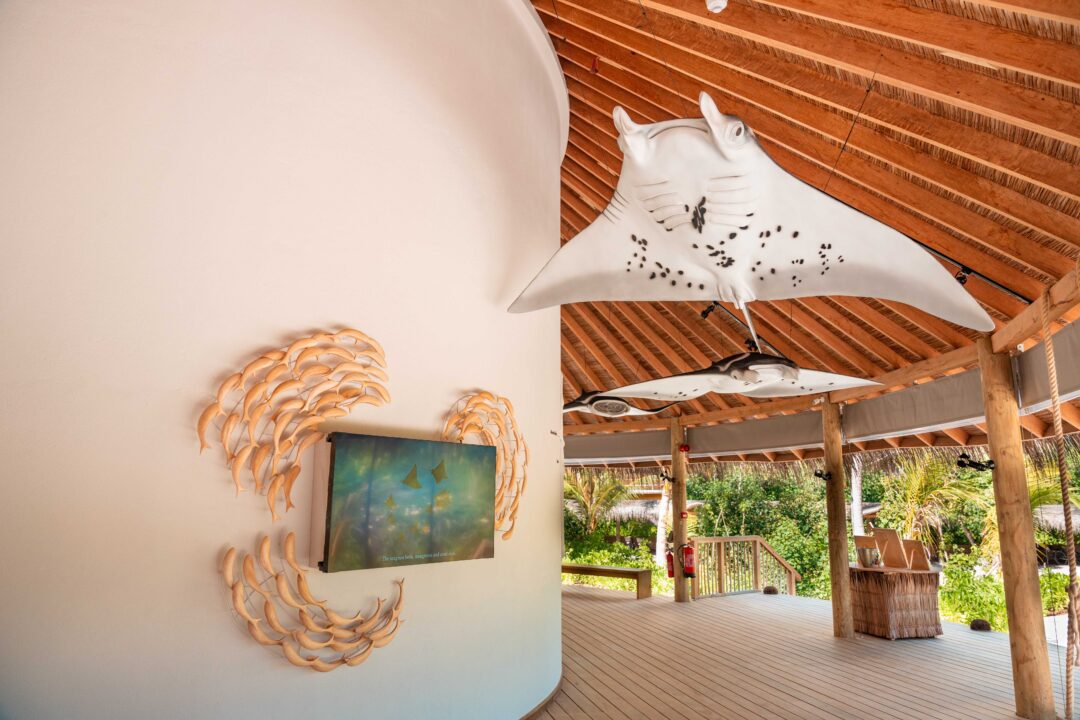 Six Senses Laamu Maldives surf resort Central Atolls