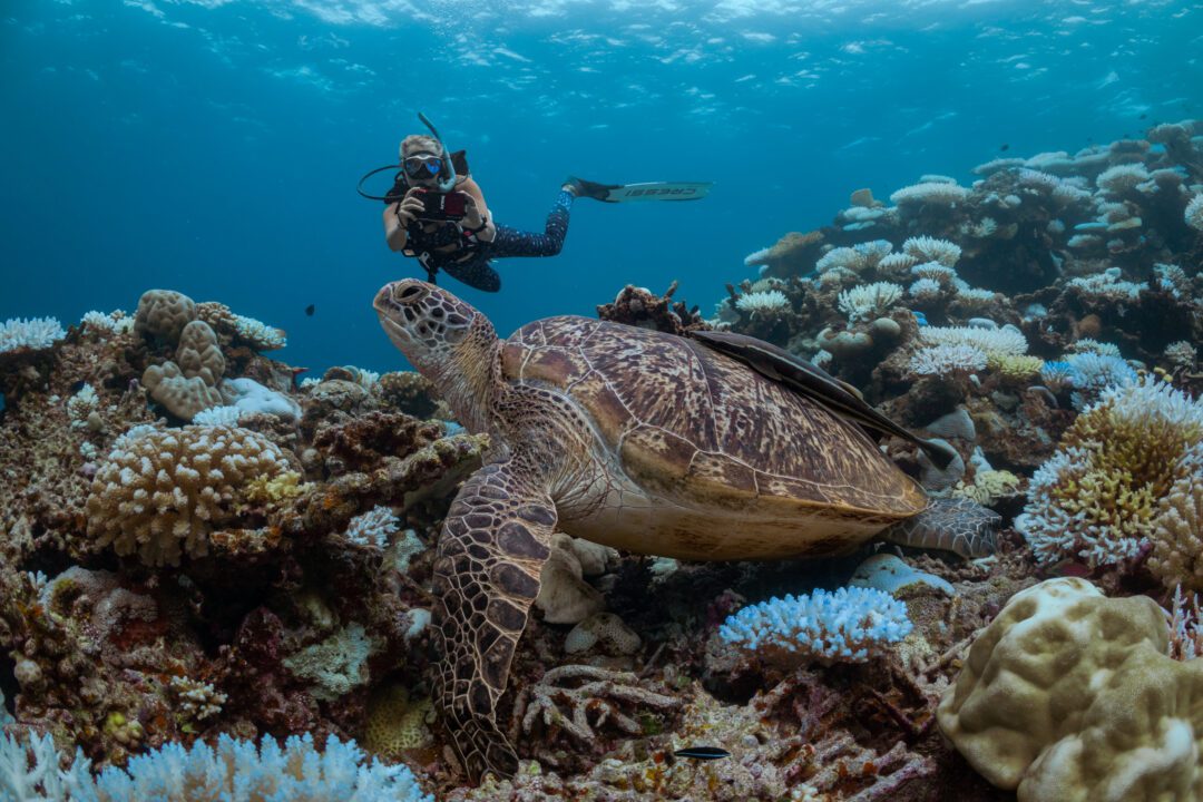 Six Senses Laamu Maldives surf resort Central Atolls