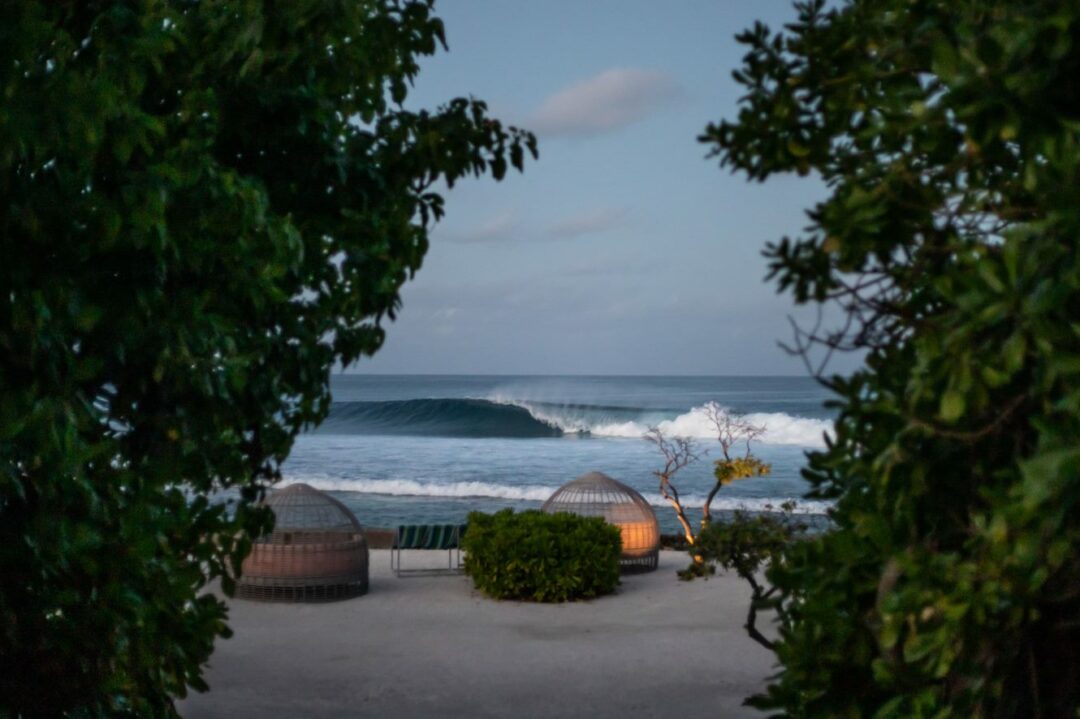 Barton Kandooma 2023