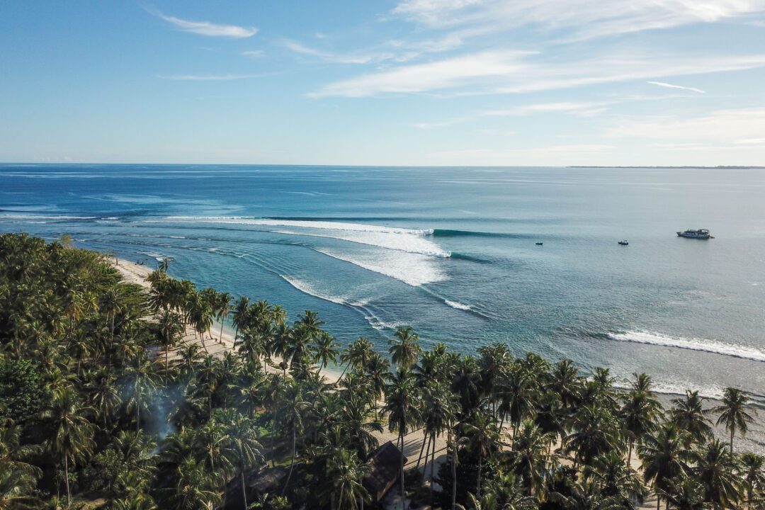 Oasis Mentawai surf charter