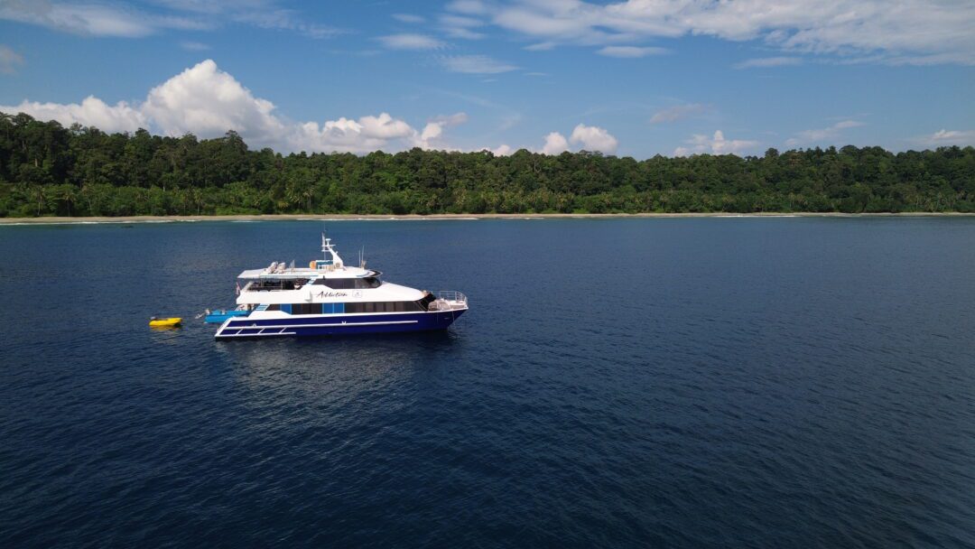 Addiction Mentawai surf charter