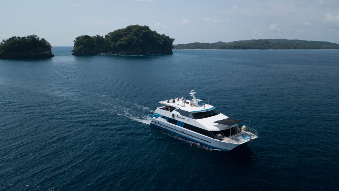 Addiction Mentawai surf charter