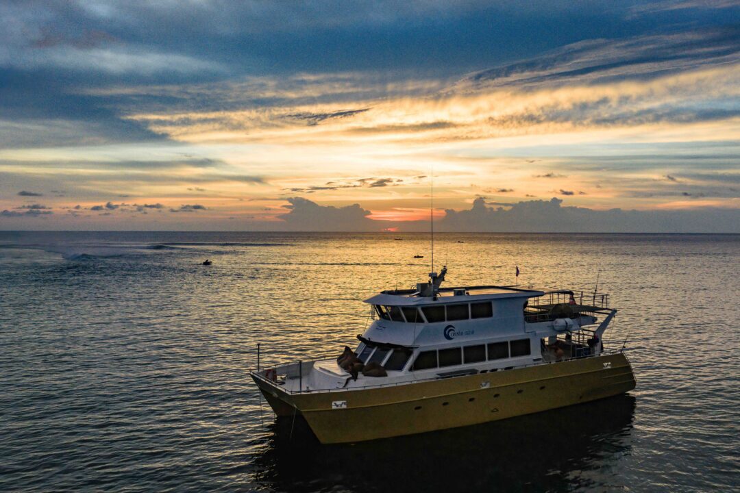 Crystal Clear Mentawai surf charter