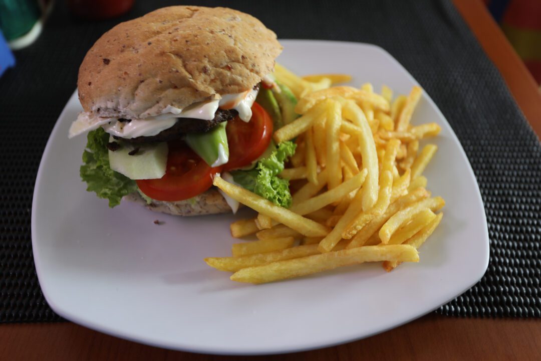 Oasis Mentawai surf charter