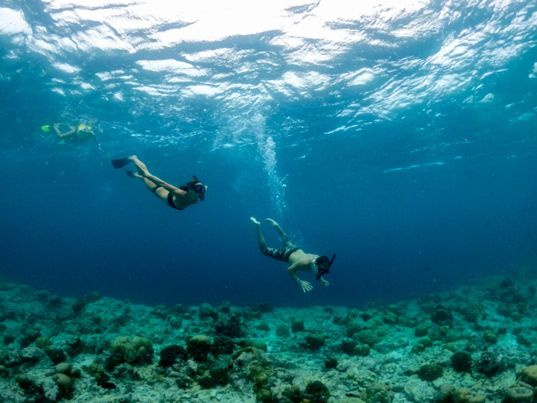 Shane Dorian Kandooma 2022 Maldives surf resort