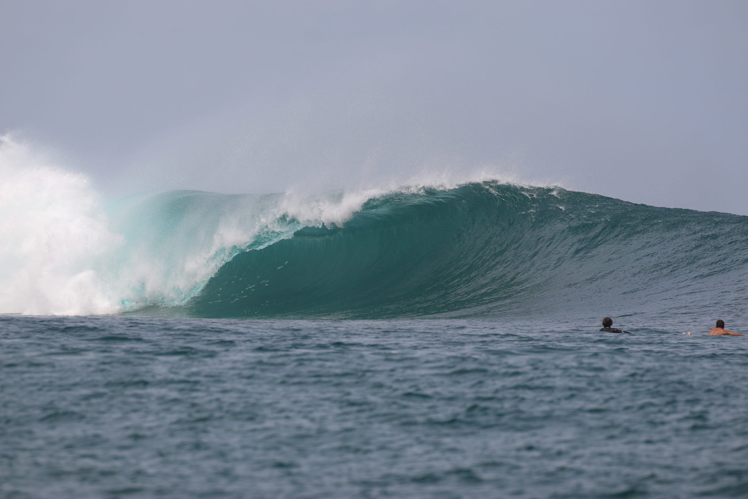 Naga Laut Mentawai surf charter