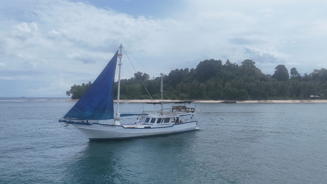 Nusa Dewata Mentawai surf charter
